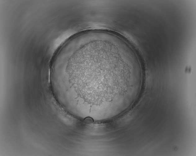 X0000110701269200907021949