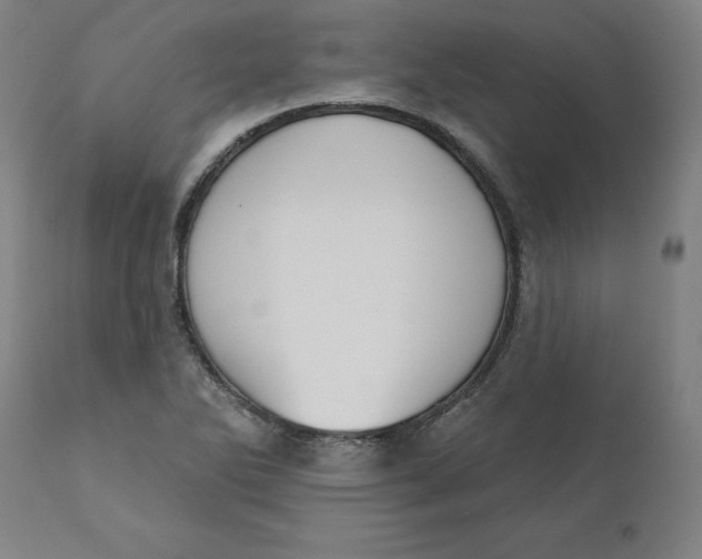 X0000110701270200907021949