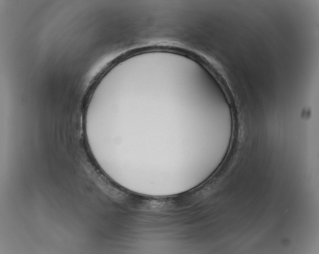 X0000110701271200907021949