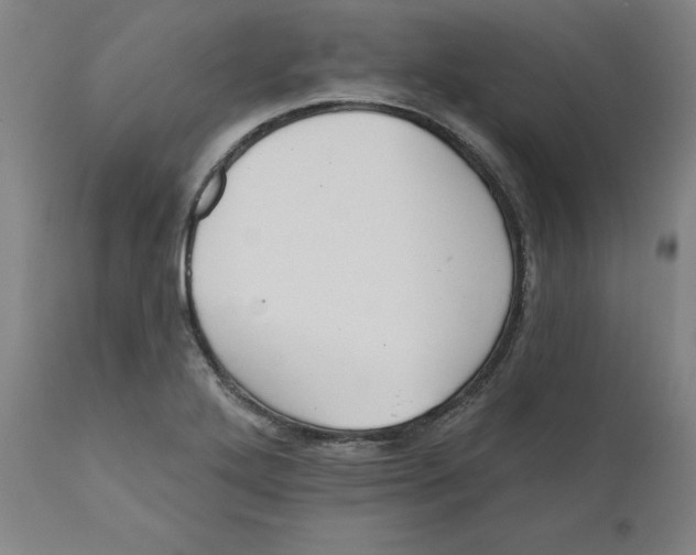 X0000110701272200907021949