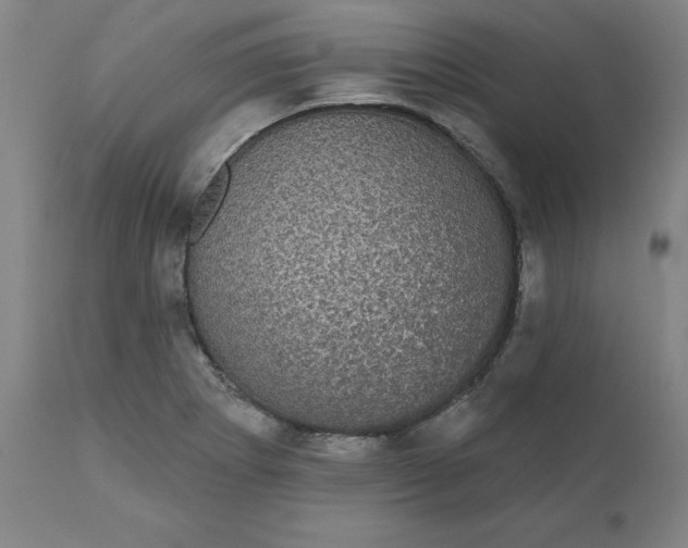 X0000110701273200907021949