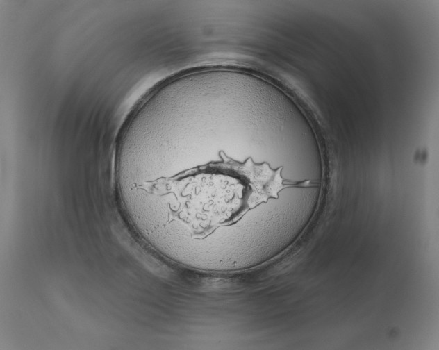 X0000110701275200907021949