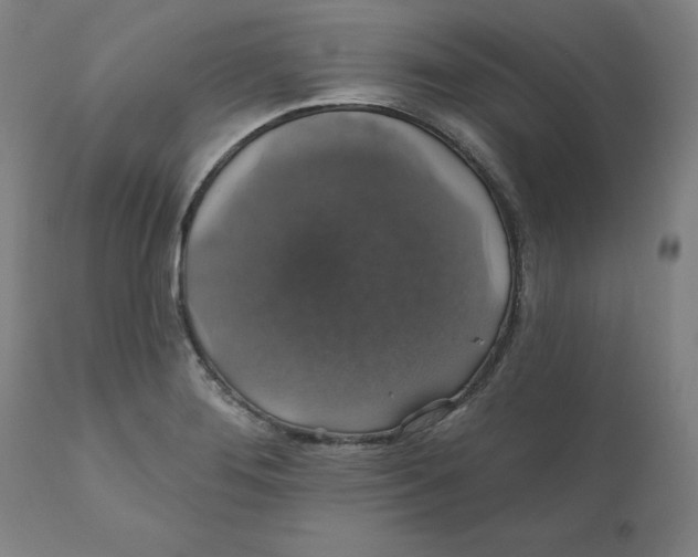 X0000110701276200907021949