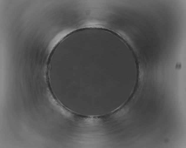 X0000110701277200907021949