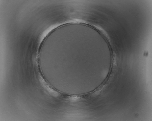 X0000110701278200907021949