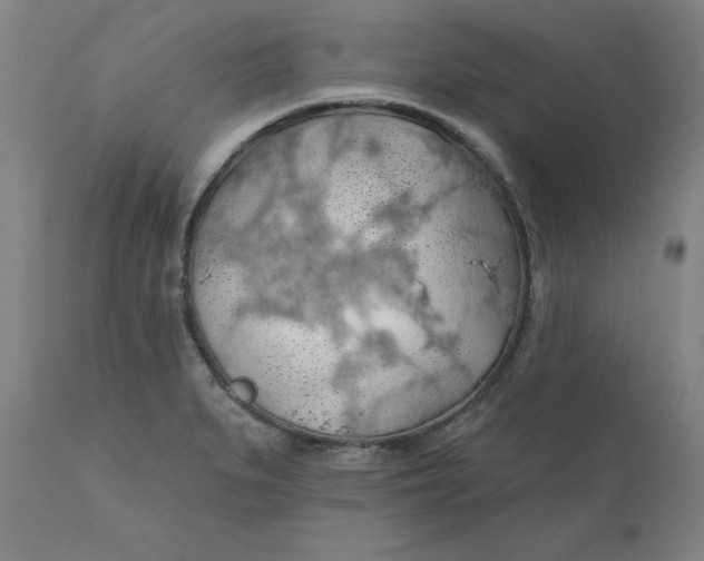 X0000110701279200907021949