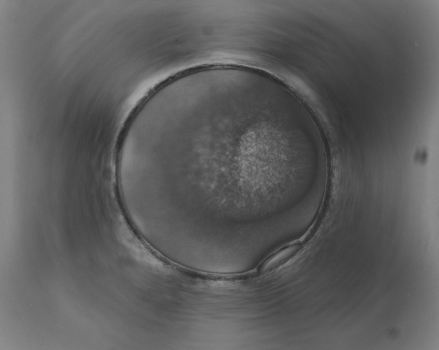 X0000110701280200907021949