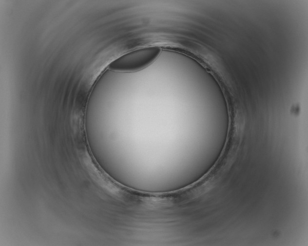 X0000110701281200907021949