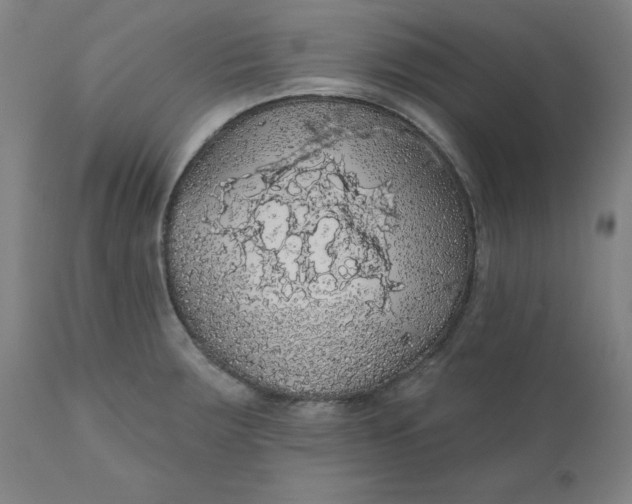 X0000110701283200907021949