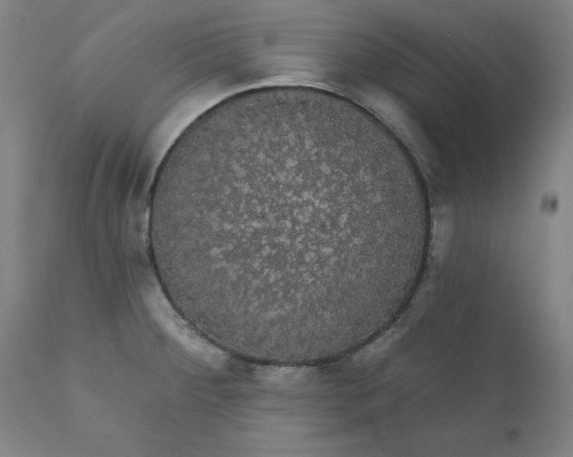 X0000110701284200907021949