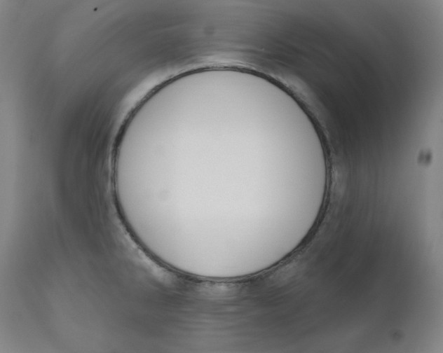 X0000110701286200907021949