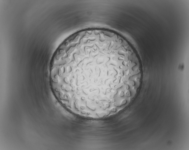 X0000110701287200907021949