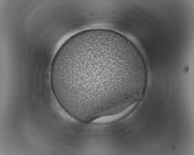 X0000110701288200907021949