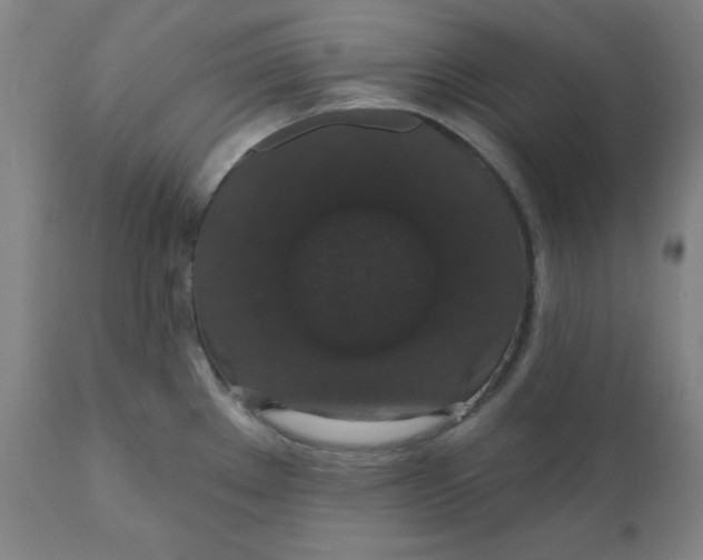 X0000110701289200907021949