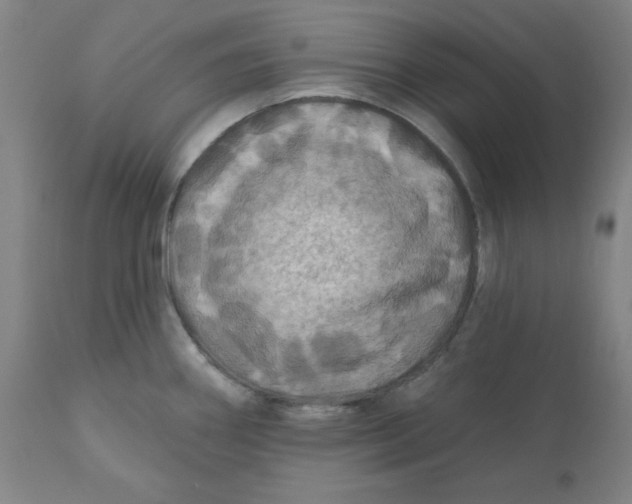 X0000110701290200907021949