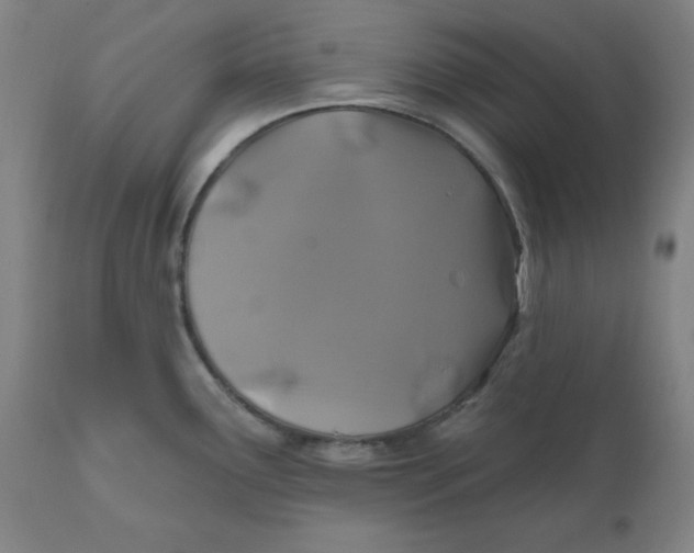 X0000110701291200907021949