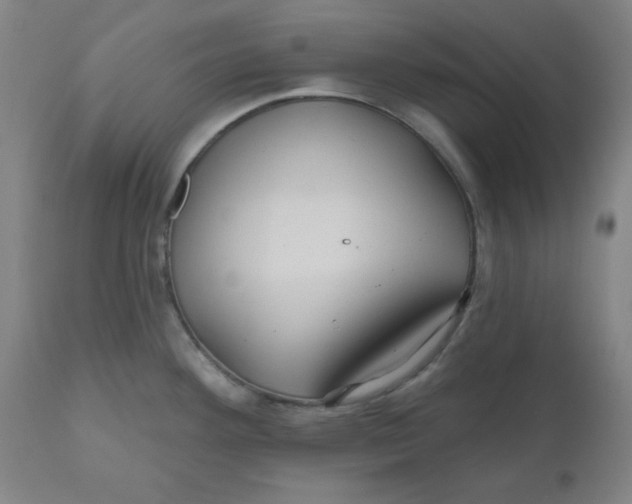 X0000110701292200907021949