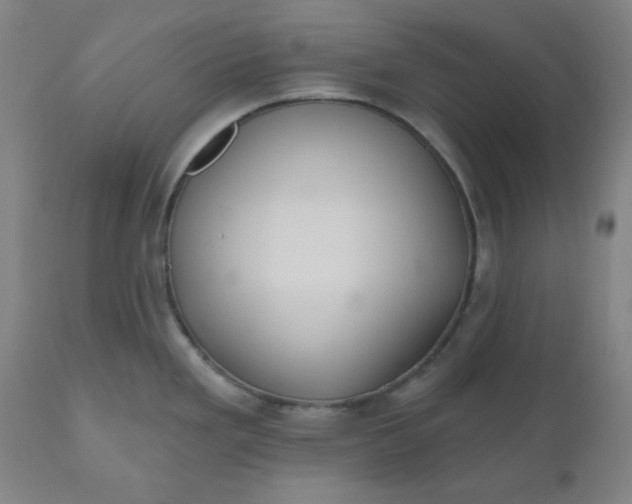 X0000110701293200907021949