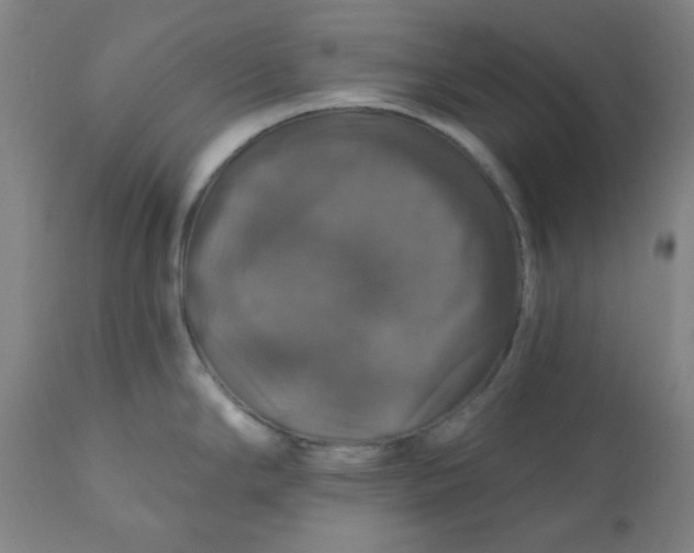 X0000110701294200907021949