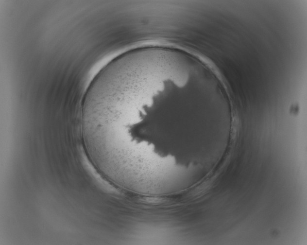 X0000110701295200907021949