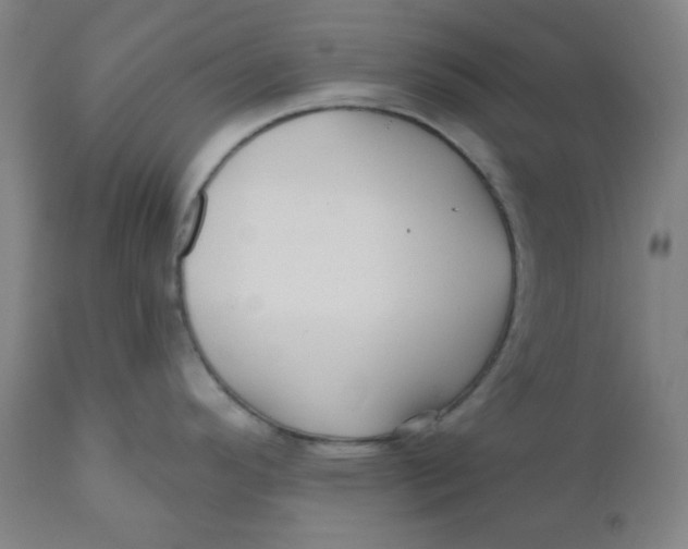 X0000110701296200907021949