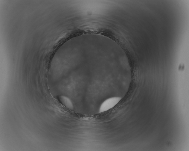 X0000110701297200907021948