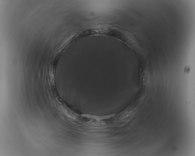 X0000110701298200907021948