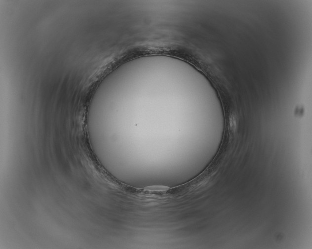 X0000110701300200907021948