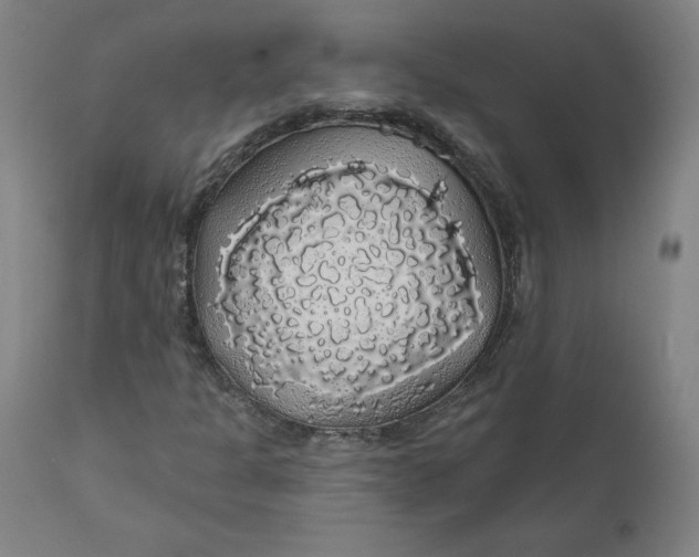 X0000110701301200907021948