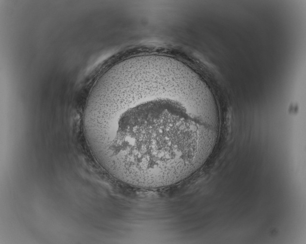 X0000110701302200907021948