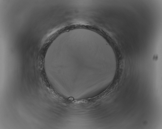 X0000110701303200907021948