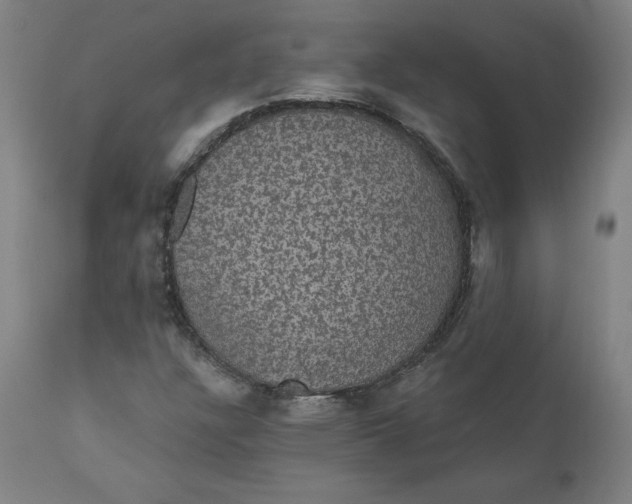 X0000110701304200907021948