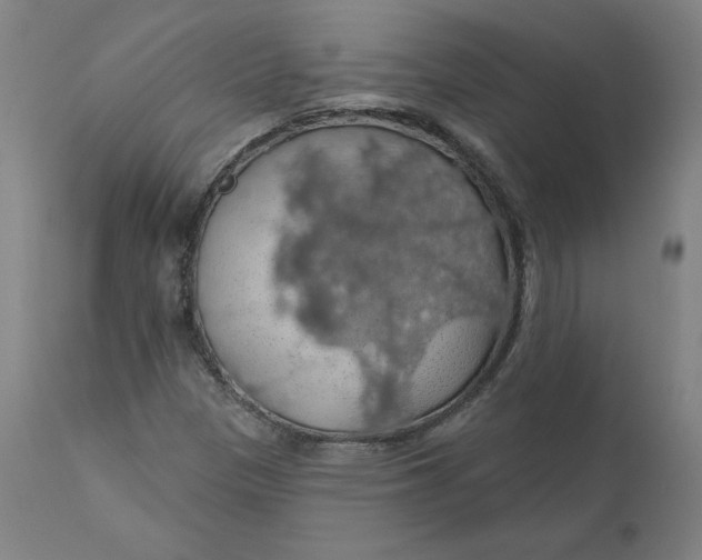 X0000110701305200907021948