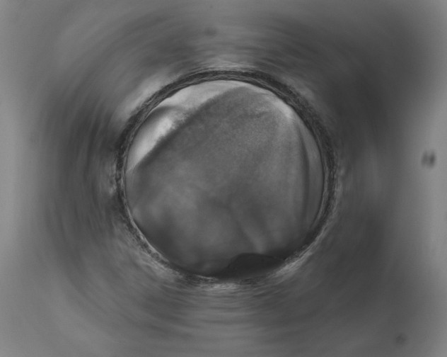 X0000110701306200907021948