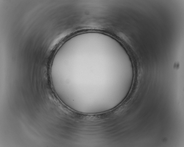 X0000110701307200907021948