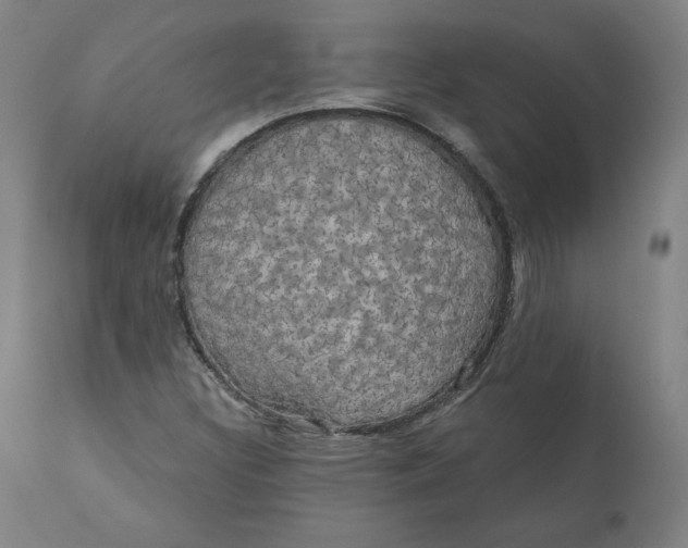 X0000110701308200907021948