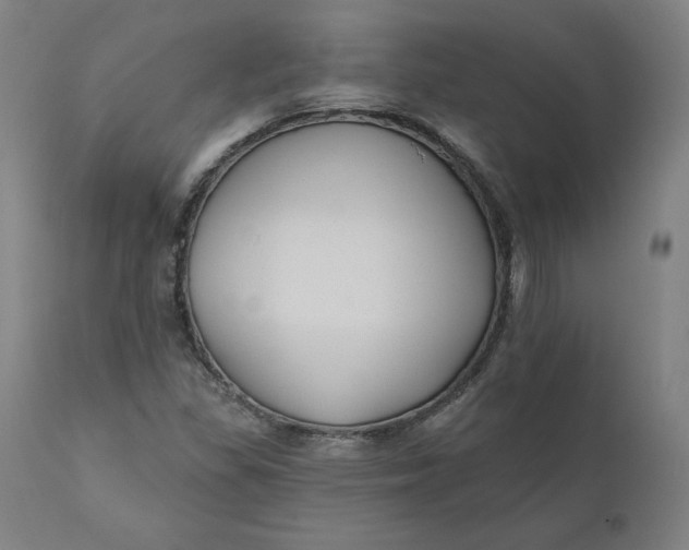 X0000110701309200907021948