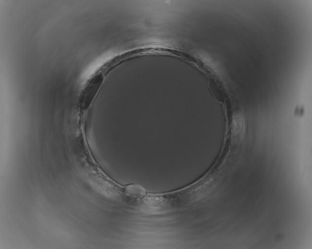 X0000110701310200907021948