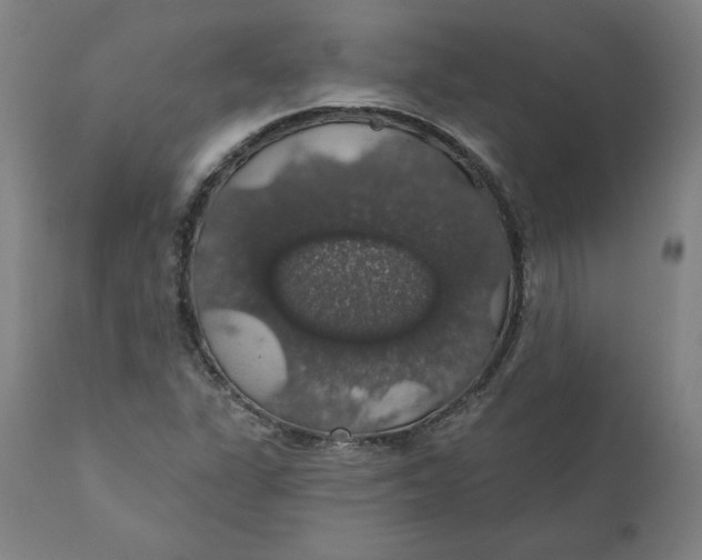 X0000110701311200907021948