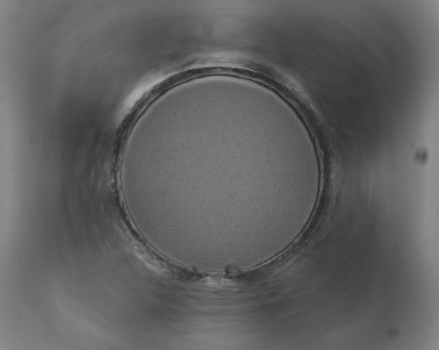 X0000110701312200907021948