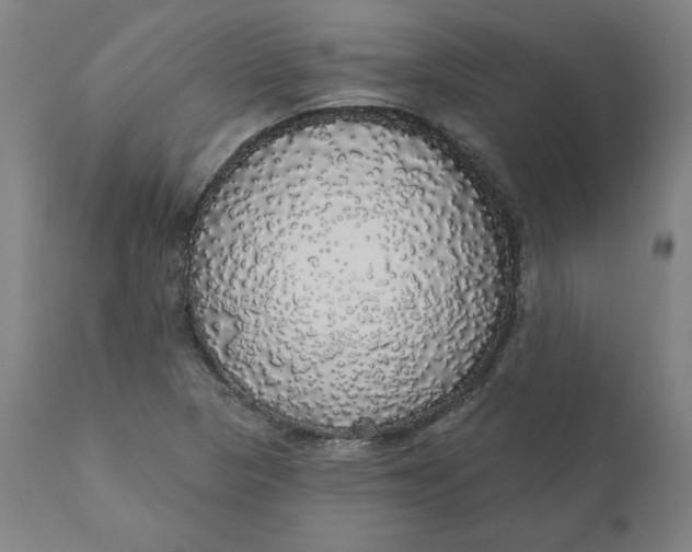 X0000110701313200907021948