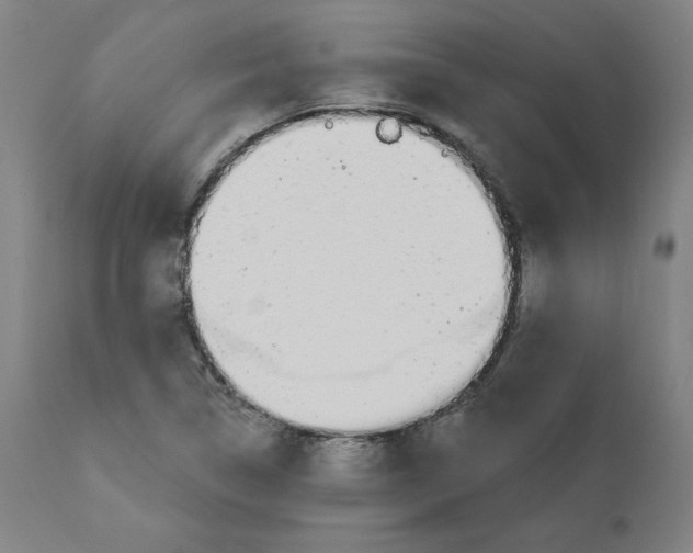 X0000110701314200907021948