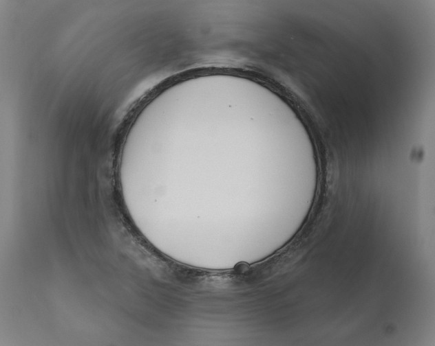 X0000110701315200907021948