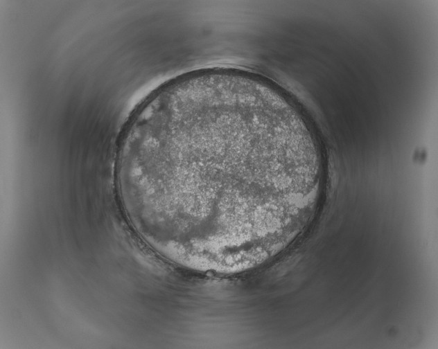 X0000110701316200907021948