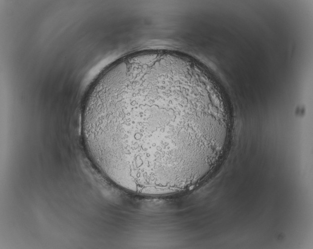 X0000110701317200907021948