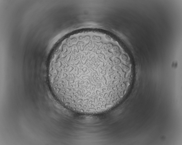 X0000110701318200907021948