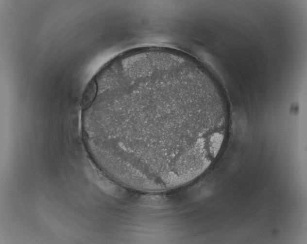 X0000110701320200907021948