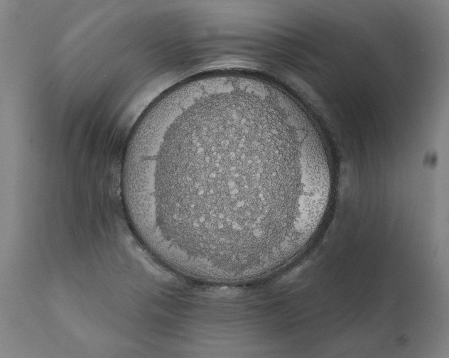 X0000110701321200907021948