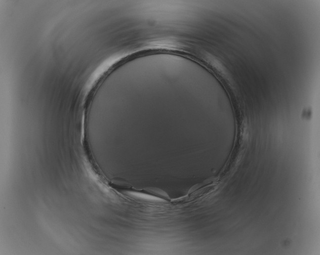 X0000110701323200907021948