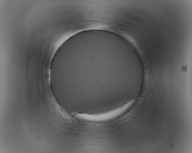 X0000110701324200907021948